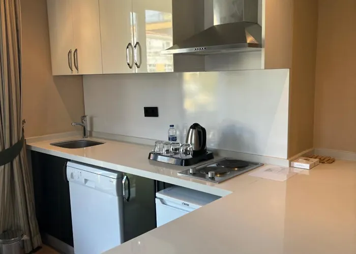 Aldino ホテル アンカラ